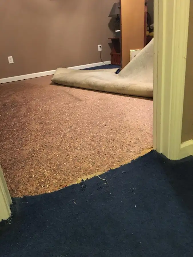 Carpet pad removal revealing water damage during Drying & Dehumidification in Columbiana