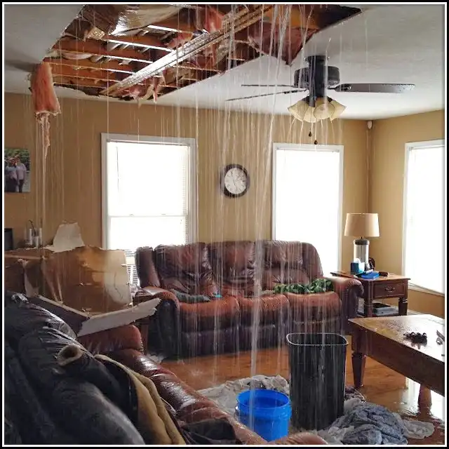 Water Damage Restoration services in Columbiana, AL