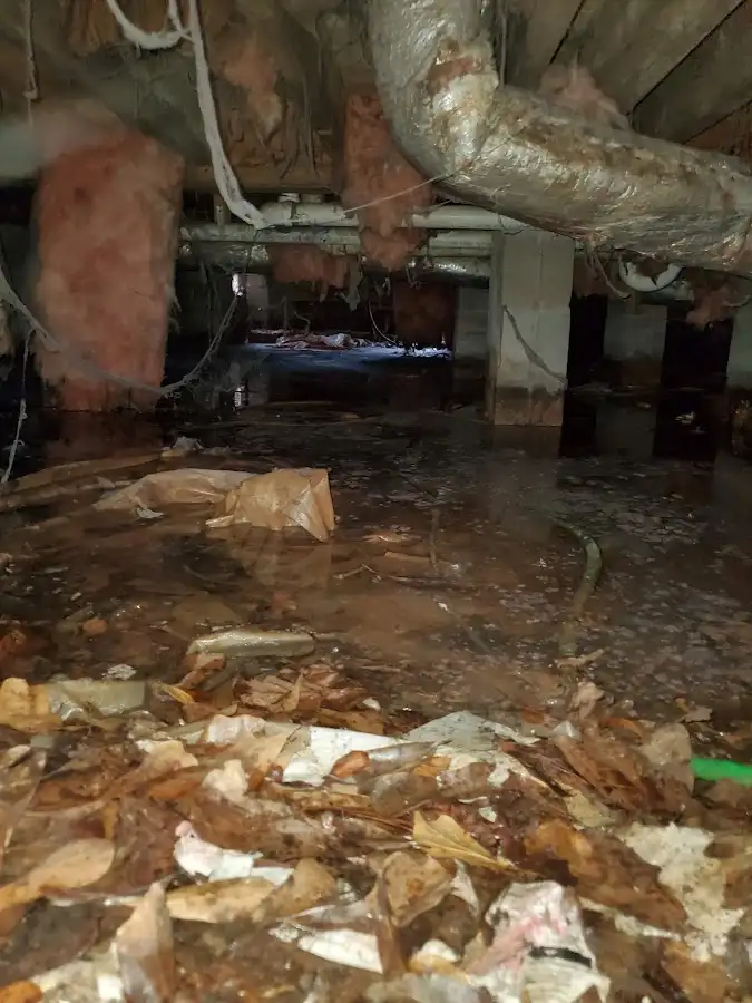 Crawl space flood assessment for Leak Detection & Repair in Columbiana