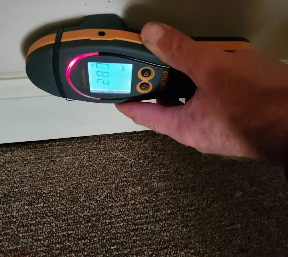 Moisture detection at baseboard during Sewage Cleanup & Sanitation in Columbiana